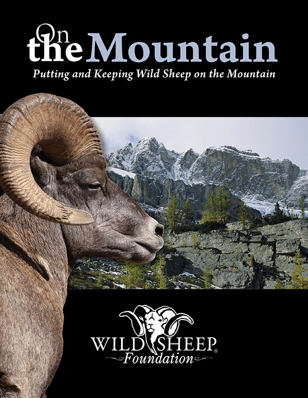 Cover of On the Mountain activity book